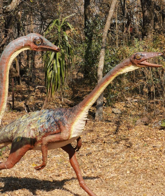 Sudwala Dinosaur Park-尼斯普鲁特必去景点