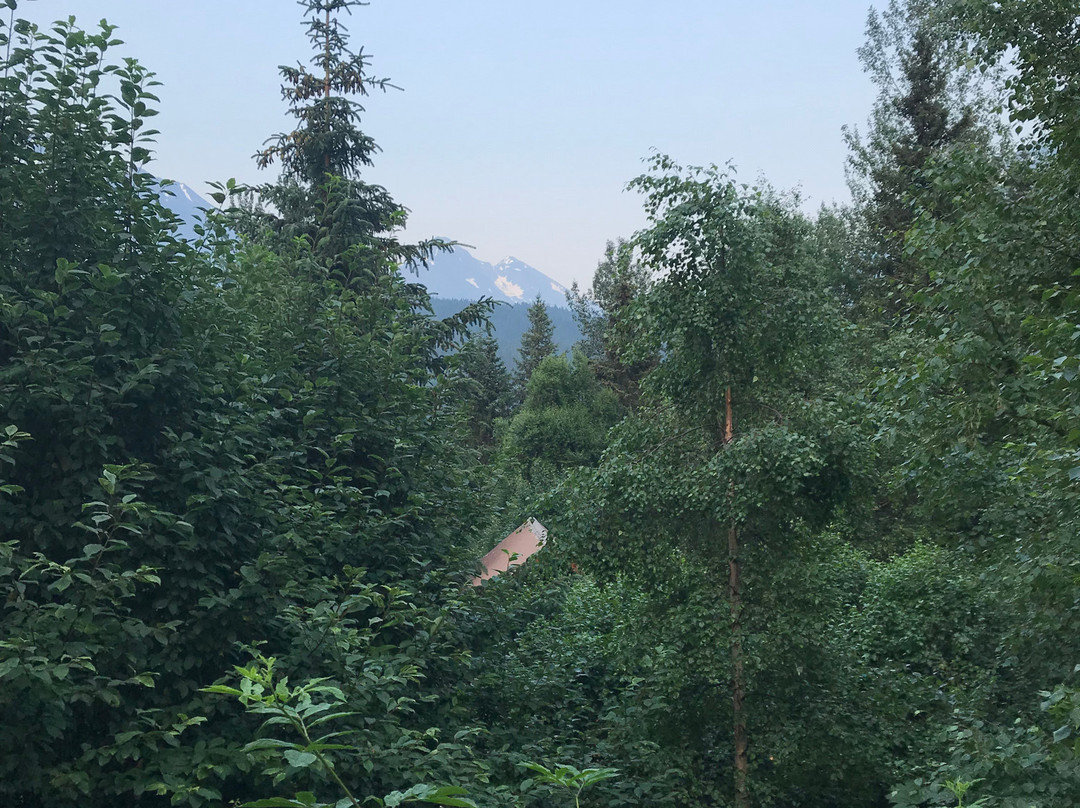 Midnight Sun Log Cabins主图