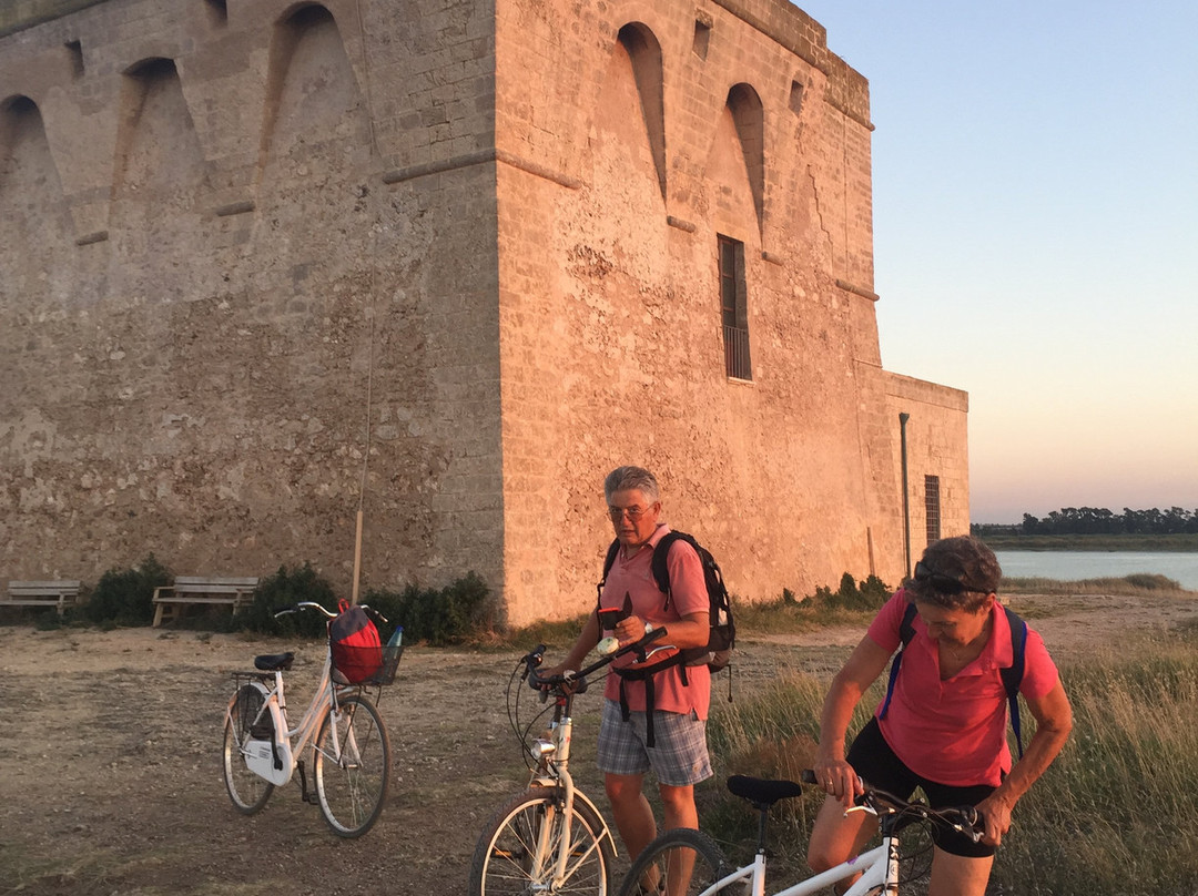 Area Marina Protetta di Torre Guaceto景点图片