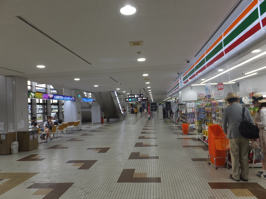 Memanbetsu Airport Observation Deck景点图片