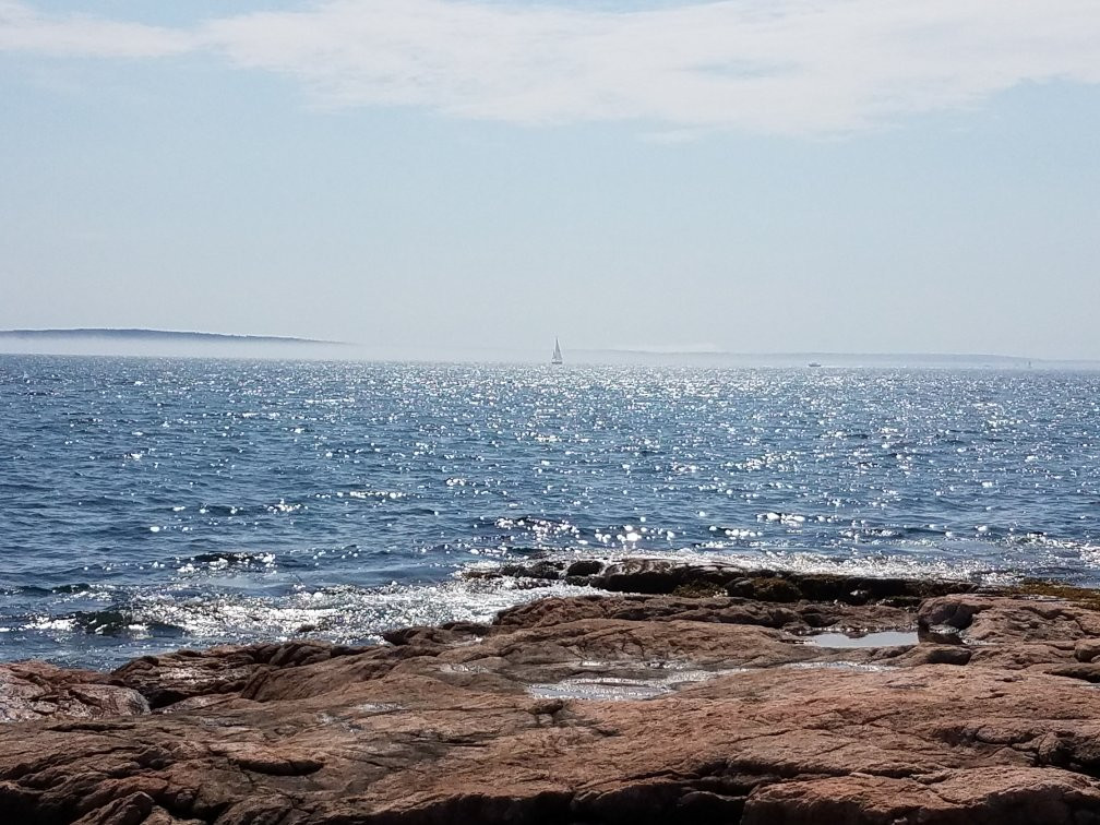 Ship Harbor Nature Trail景点图片