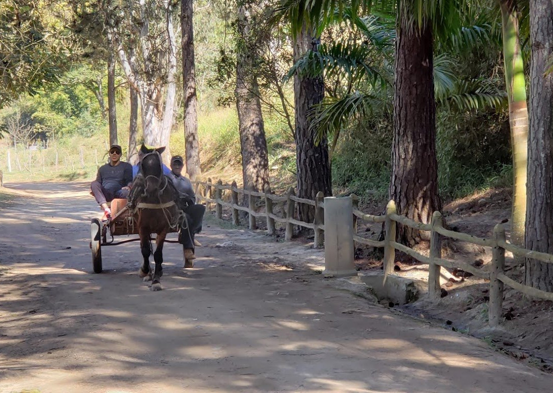 Hotel Fazenda Vista Alegre主图