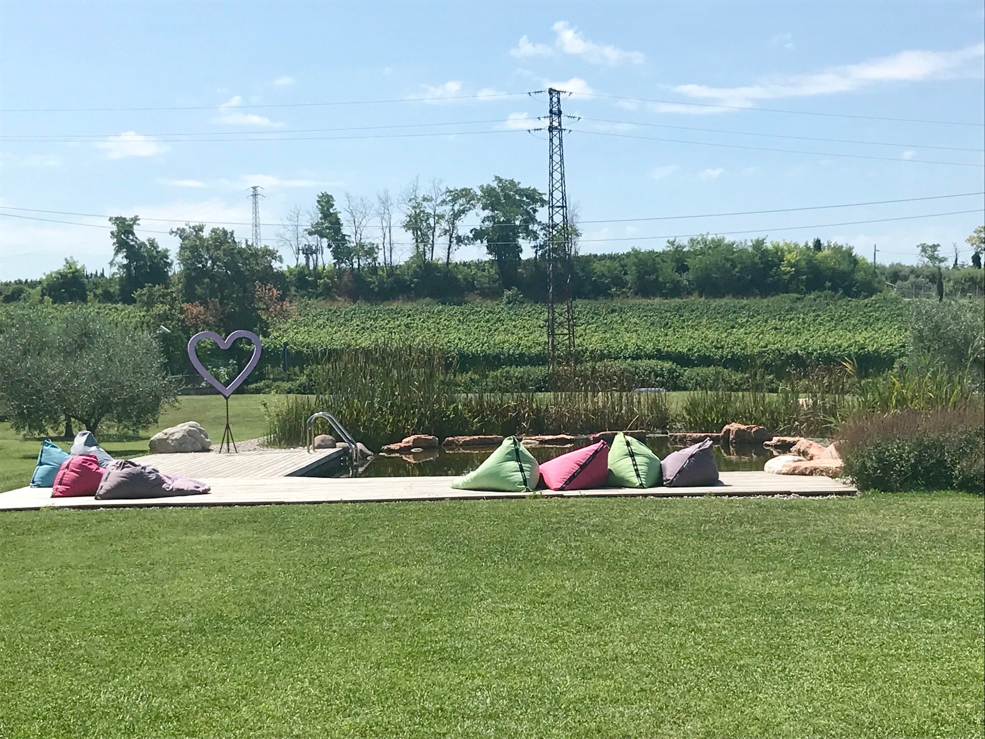 Agriturismo Casa Aurora-泳池