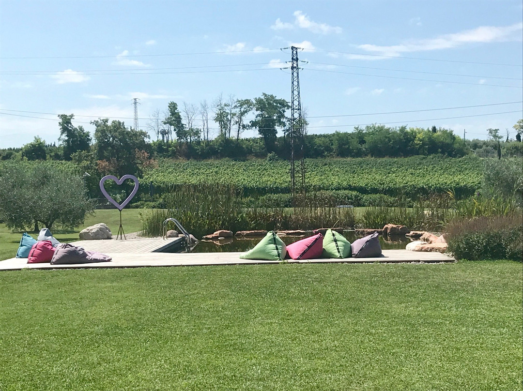 Agriturismo Casa Aurora主图