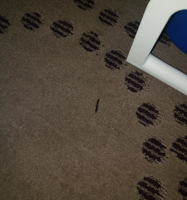 Quality Inn Stockbridge Atlanta South主图