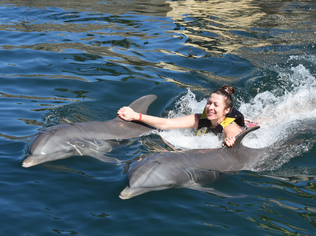 Ocean World Adventure Park, Puerto Plata景点图片