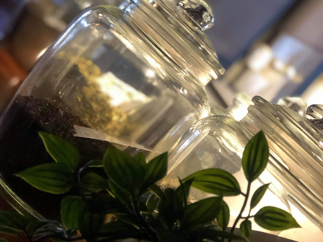 Gaspe Peninsula-Gaspesie Region必去景点