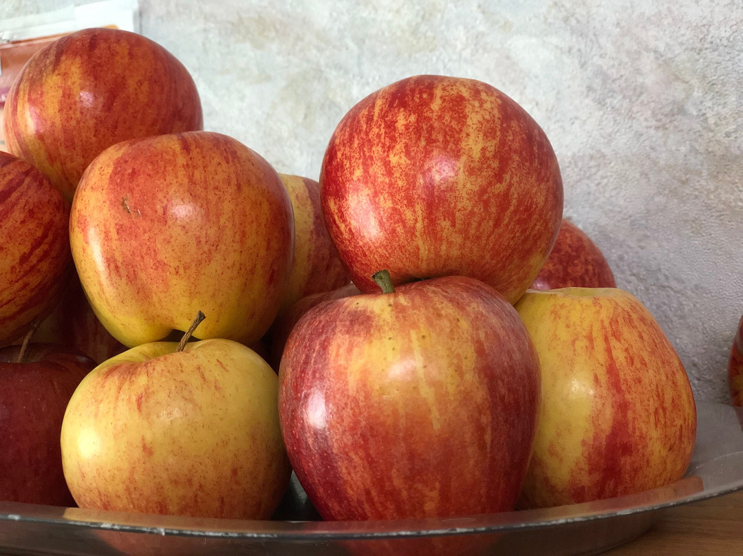 Victorian Inn North Columbus主图