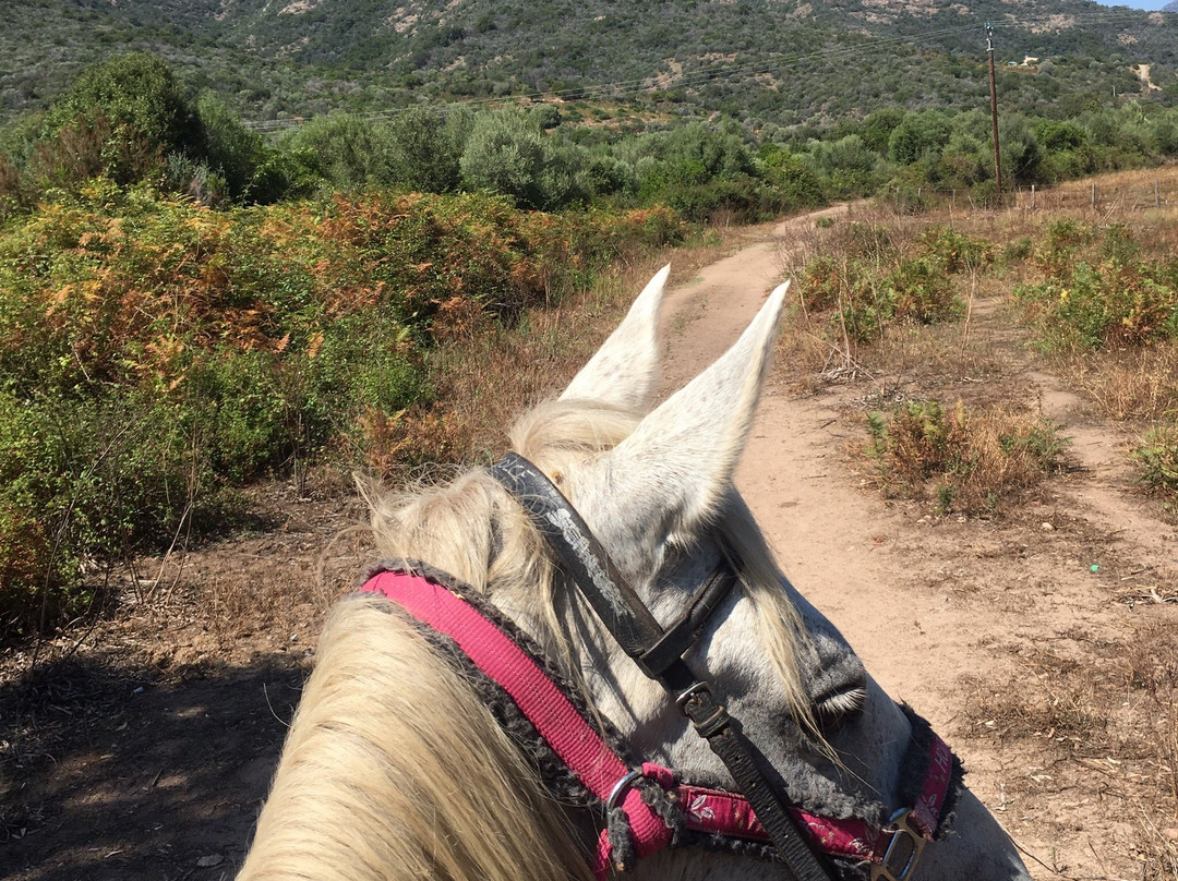 Ferme Equestre Le Ranch景点图片