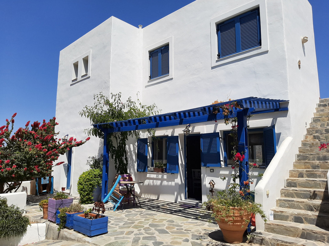 Il Canto delle Cicale主图