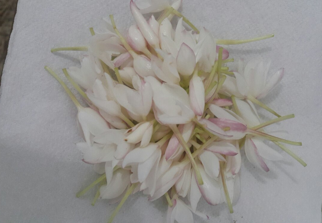 Mahdia Place Apartments主图