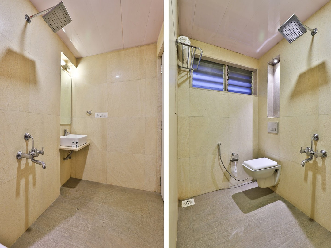 OYO 25065 Hotel Shree Daan主图