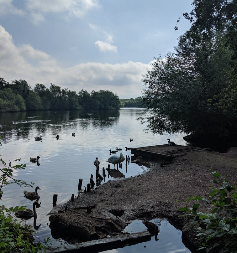 Plantsbrook Community Nature Park-伯明翰必去景点