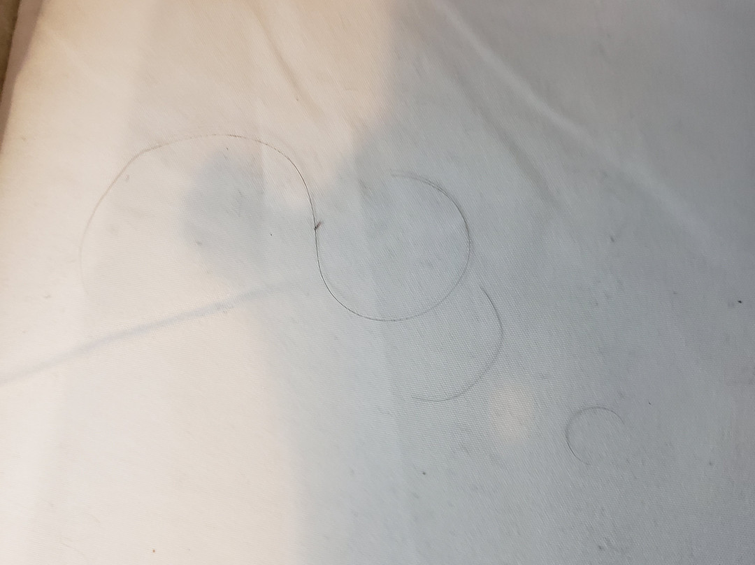 Quality Inn & Suites主图