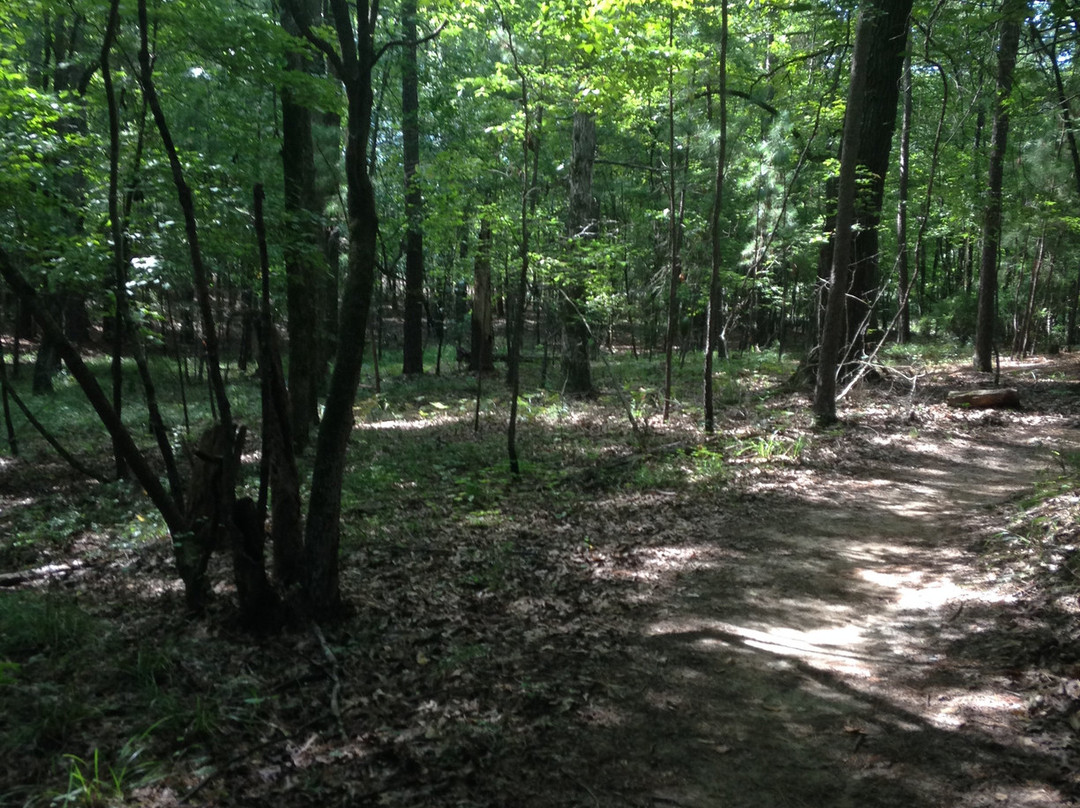 Harbison State Forest-哥伦比亚必去景点