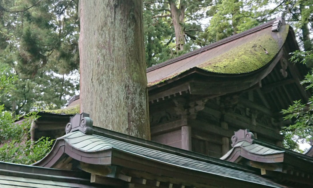 Oyama Shrine Zenritsu Shadan-立山町必去景点