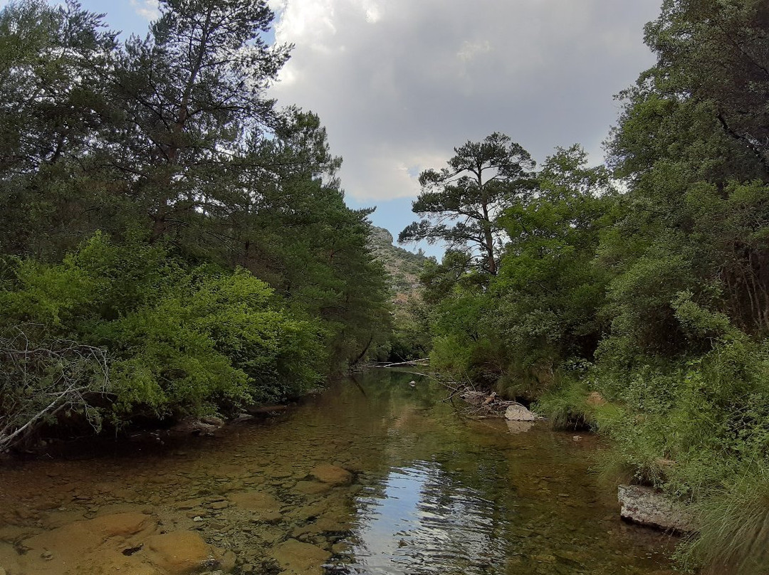 Les Gorges du Caramy景点图片