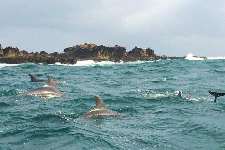 Halal Safaris-拉穆岛必去景点