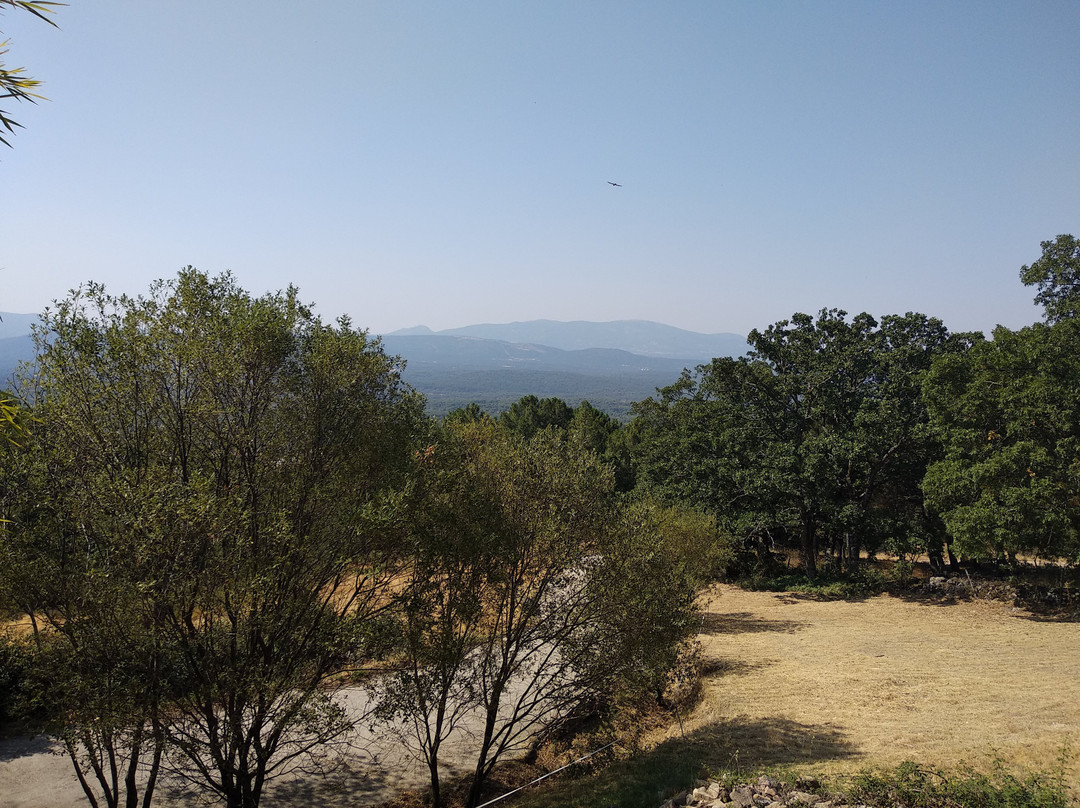 Hotel La Canela主图