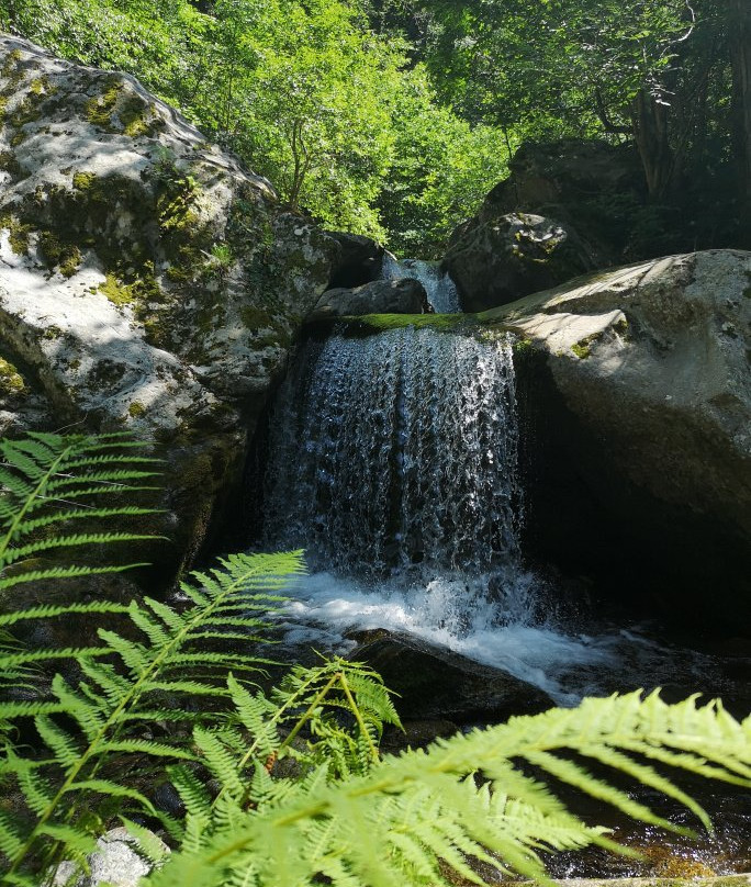 Cascades de Cady景点图片