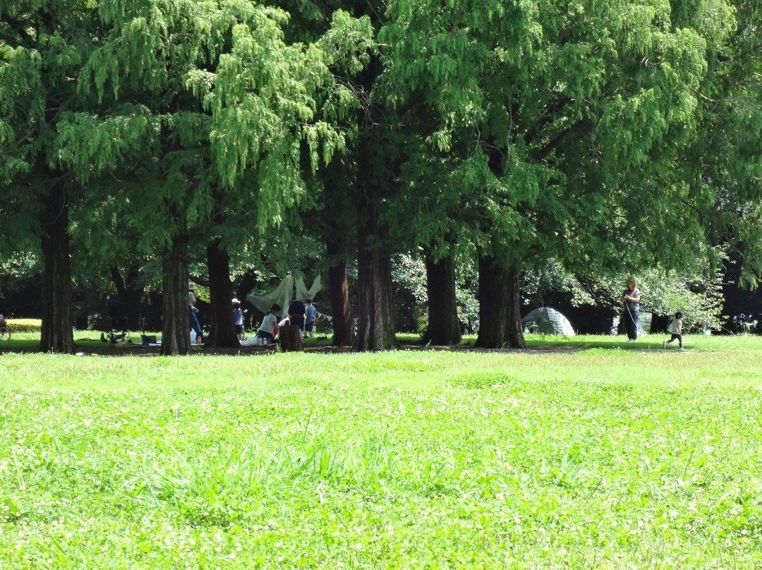 Shimin no Mori-埼玉市必去景点