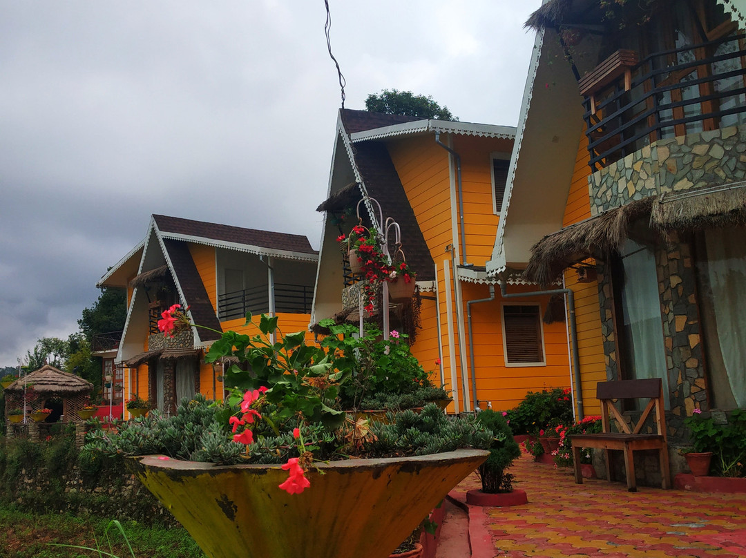 The Nature Walk主图