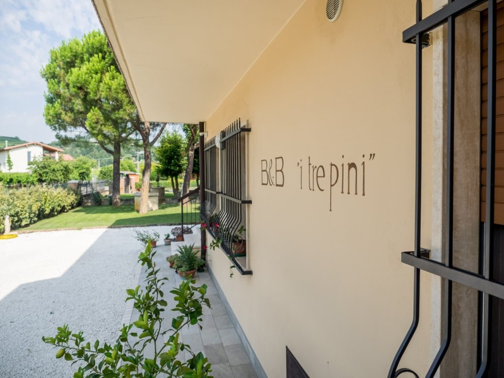 B&b I Tre Pini主图