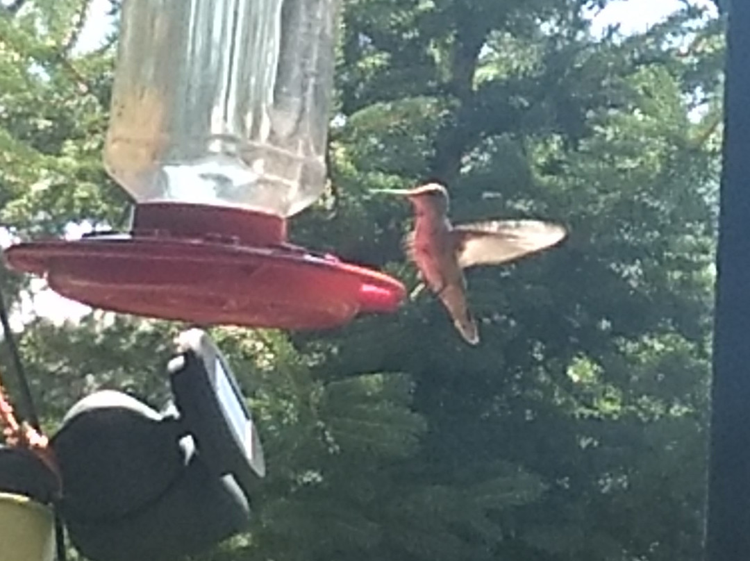 Bonito Stables-鲁伊多索必去景点