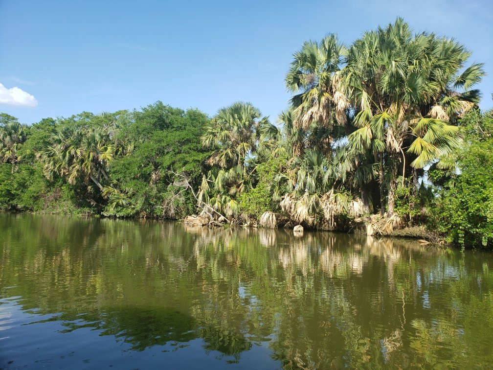 Pantanos de Centla景点图片