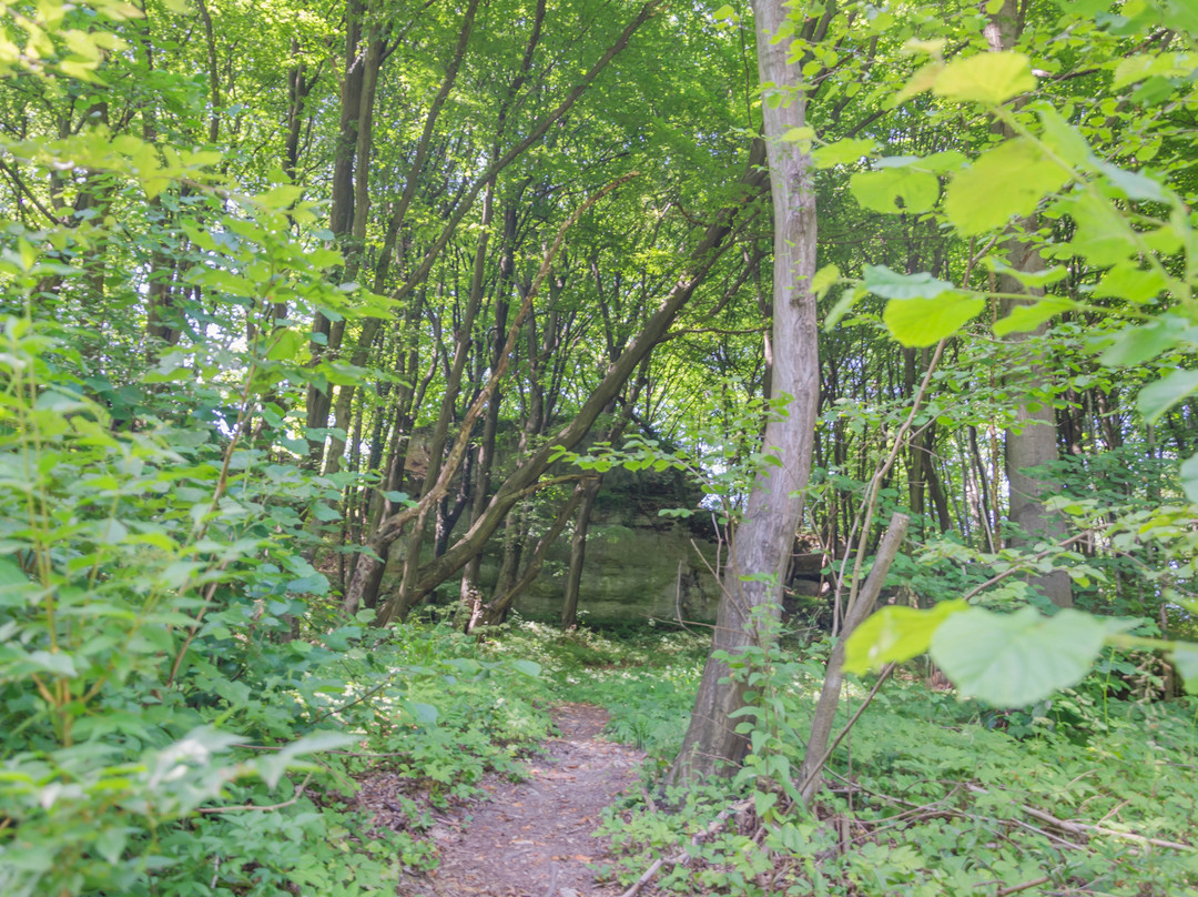 Rezerwat przyrody Zimny Doł-Czułow必去景点