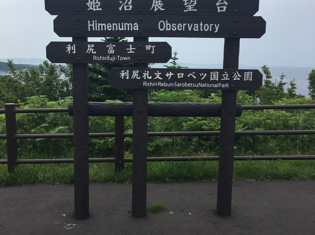 Himenuma Observatory景点图片