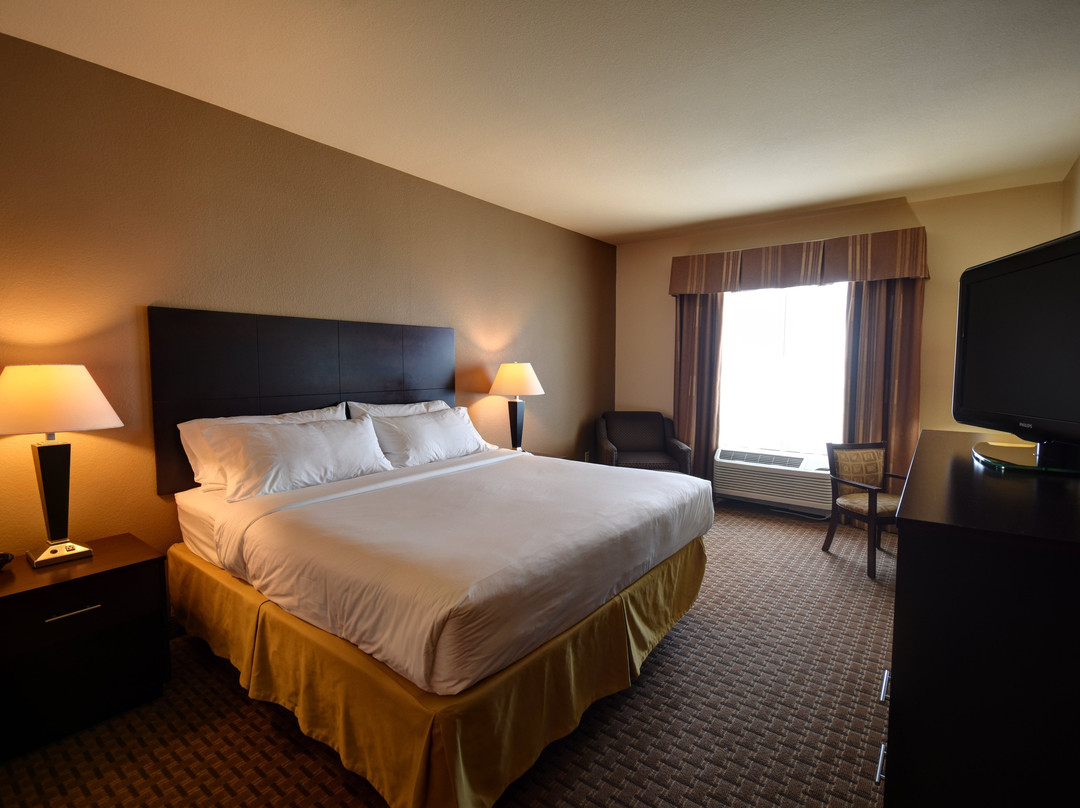 Holiday Inn Express & Suites Del Rio By IHG主图