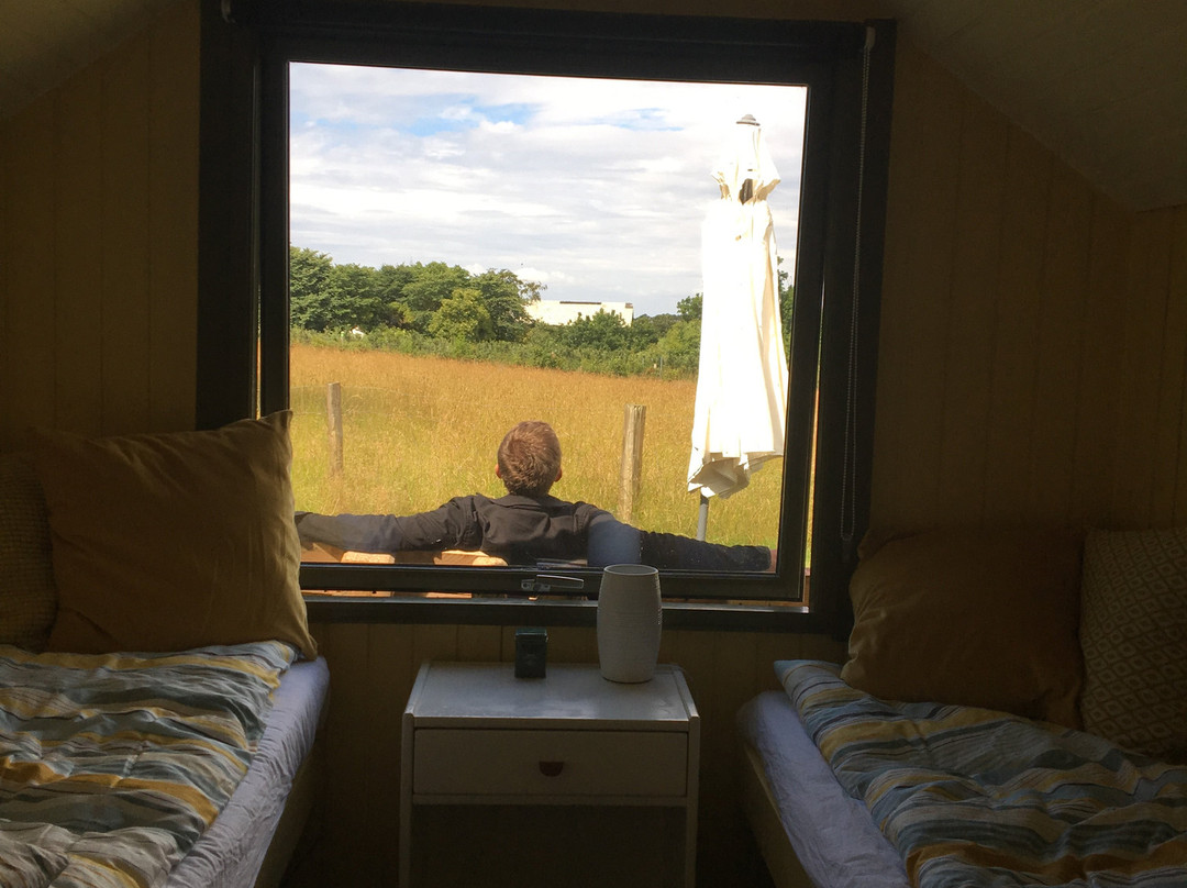 托夫特山旅游攻略图片