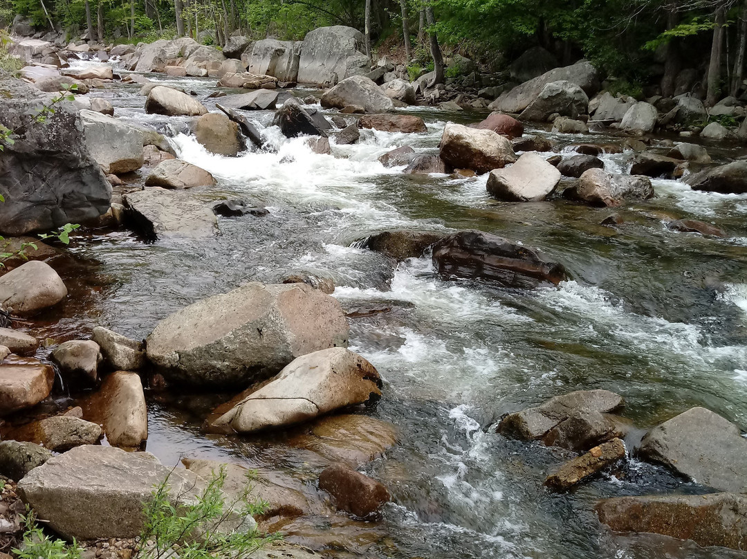 Jackson Falls-杰克逊必去景点