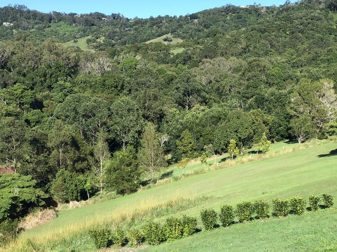 Mapleton Springs主图