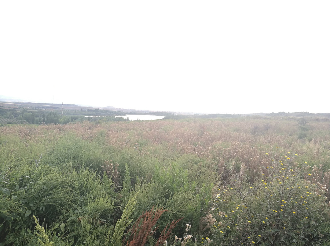 Pantano de La Grajera-洛格罗尼奥必去景点