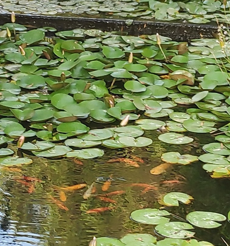 Givatayim Observatory and Garden-Giv'atayim必去景点