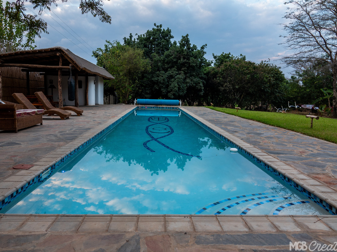 Wild Dogs Lodge