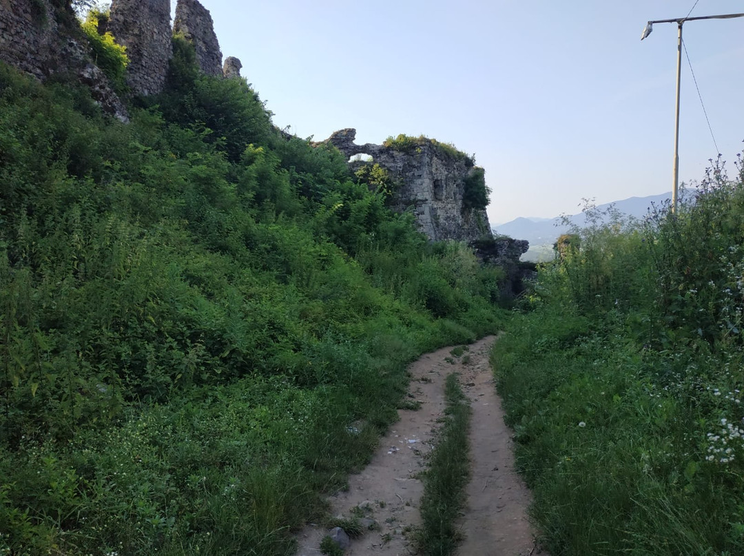 Khustskiy Castle景点图片