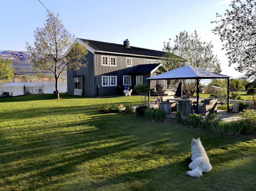 Aline's Stue B&B Utskarpen, Mo I Rana