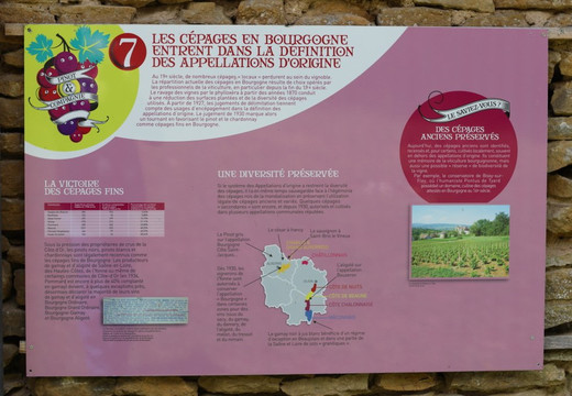 Château Pontus de Tyard-Germagny必去景点