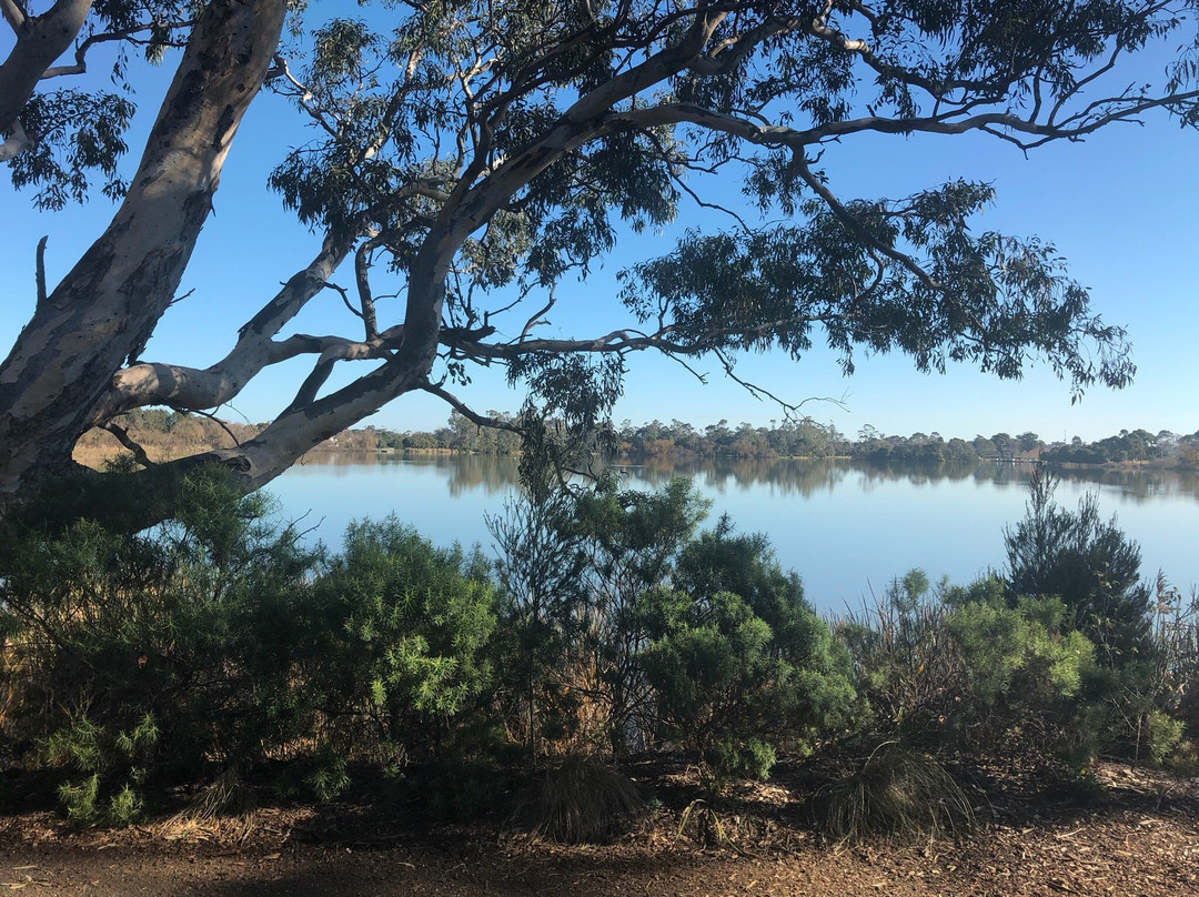 Lake Guthridge-塞尔必去景点