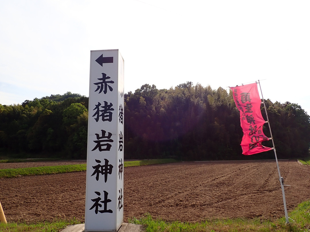 Akaiiwa Shrine景点图片