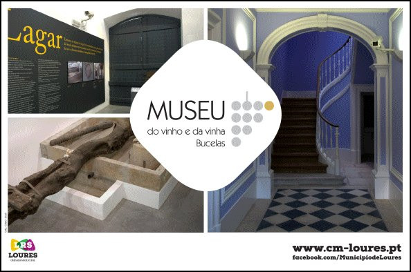 Museu do Vinho e da Vinha de Bucelas景点图片