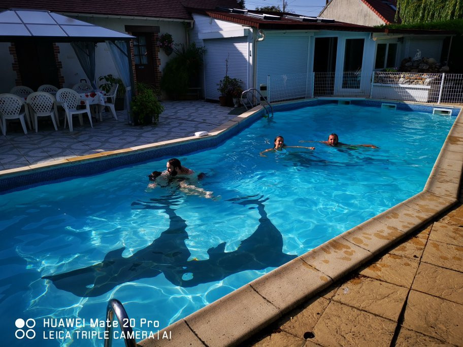 Les dauphins de Mareuil主图