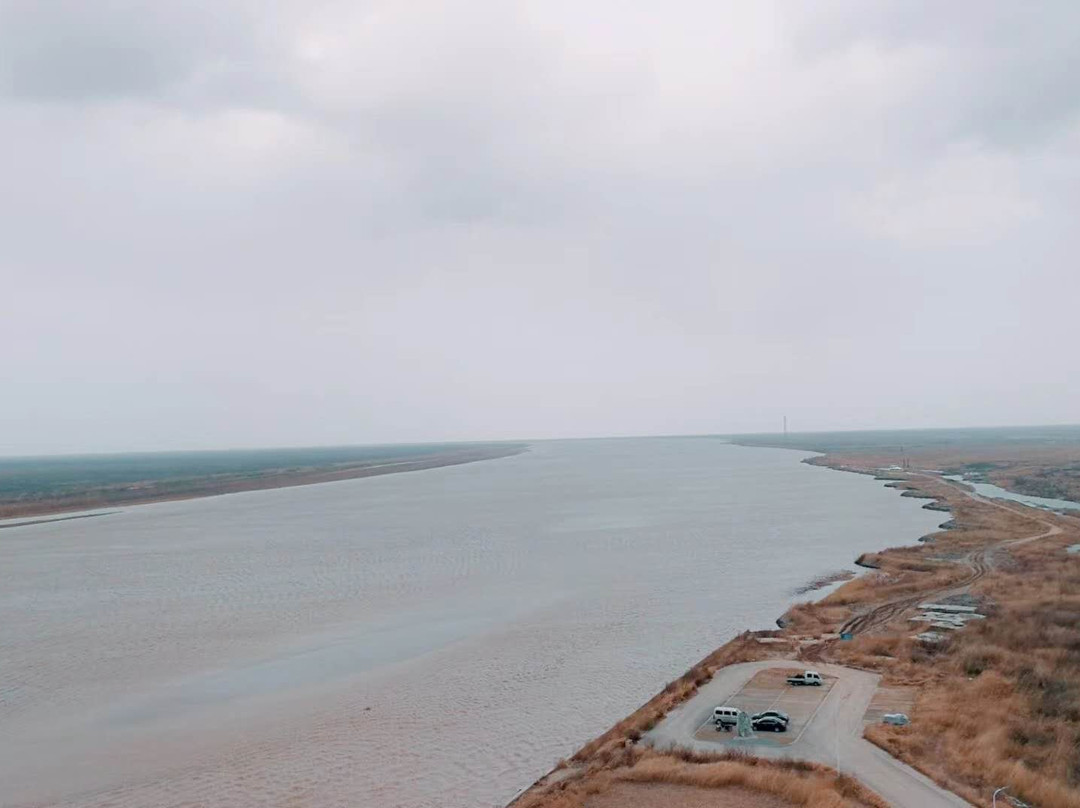 黄河入海口景点图片