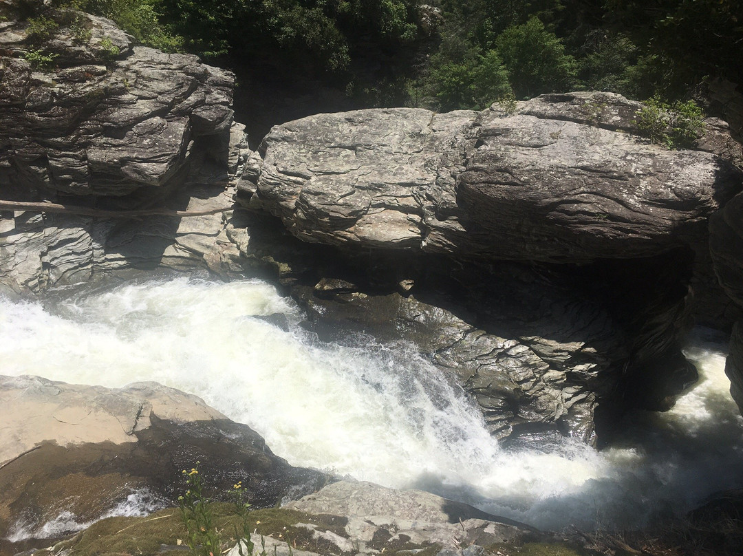 Linville Gorge Wilderness Area景点图片