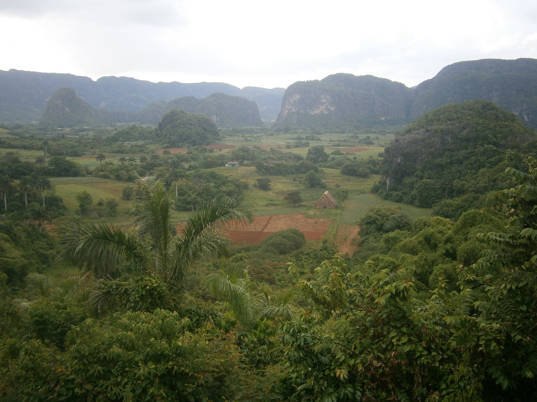 Hotel Horizontes Los Jazmines主图