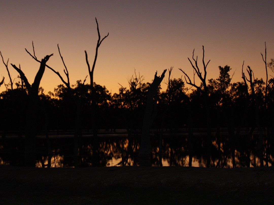 Lara Wetlands景点图片