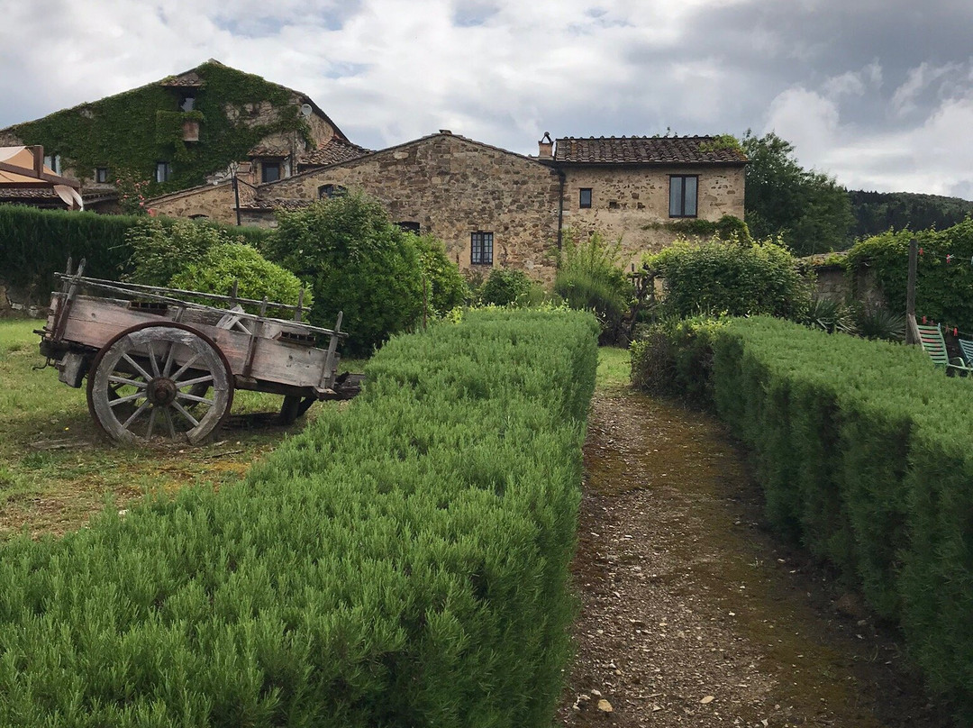 Podere Patrignone主图